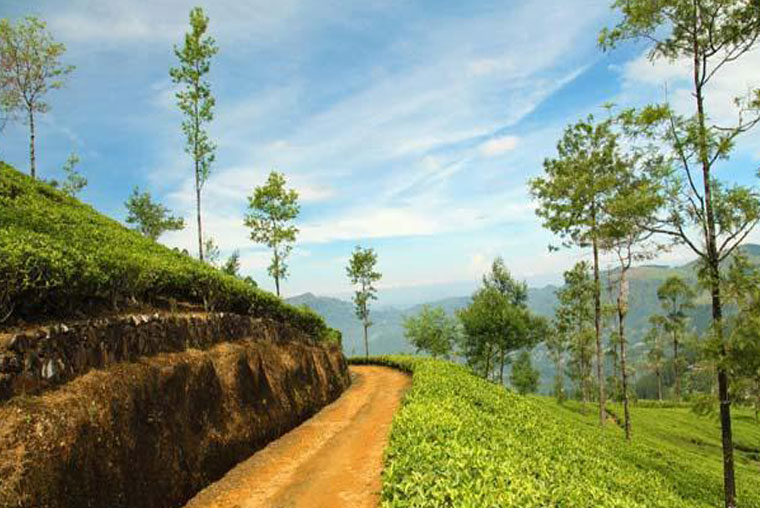 Aayush - Top Exotic Places to visit in Shillong Cherrapunjee Tour, Book Shillong Cherrapunjee Tour Package with Aayush Holidays Best Tour Operator Travel Agent for Shillong Cherrapunjee Northeast India, Cheap Shillong Cherrapunjee Tour Package, Book Car on Rent for Shillong Cherrapunjee Trip, Hire Taxi Cab for Shillong Cherrapunjee Tour, B2B Shillong Cherrapunjee Tour Agent